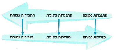(בספר איור, היעזר במנחה)